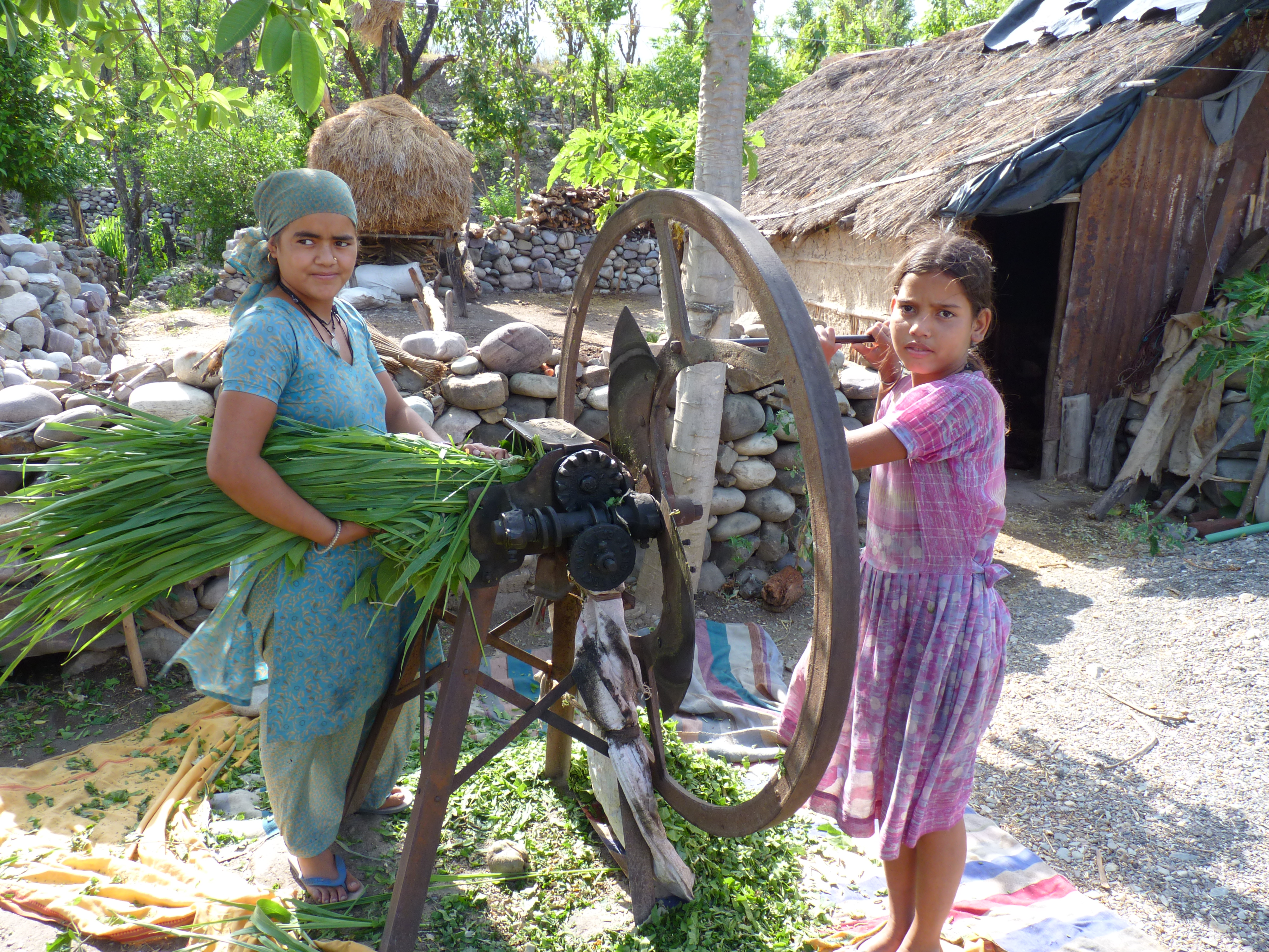 Two women work a threshing machine, one older than other.