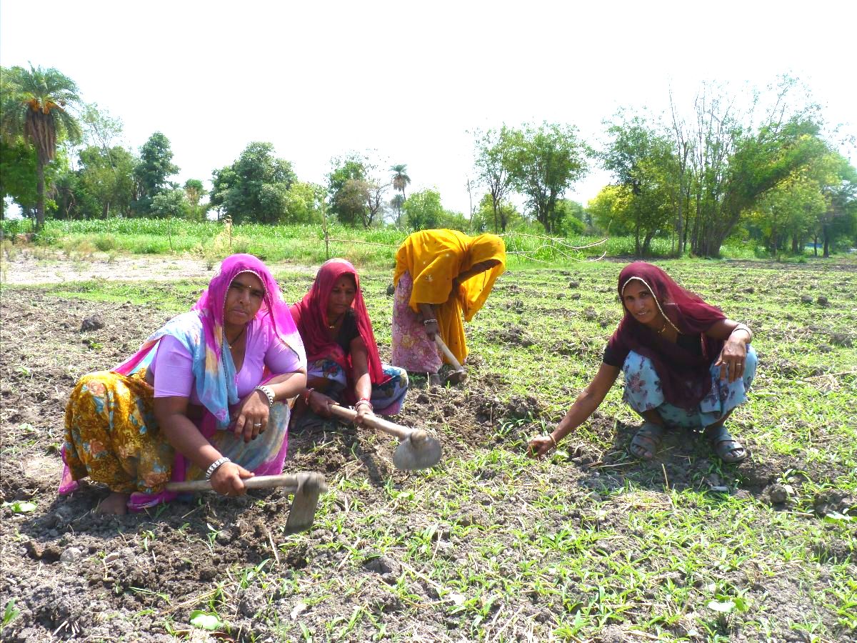 women in saris working in field