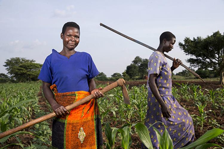 African women in field with blue shirt gently smiling